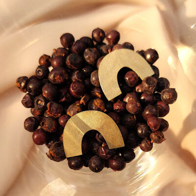 Laridae Design - Mjedene naušnice ARC